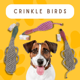 crinkle duck with squeaker