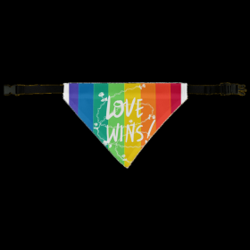 Love Wins Pet Bandana