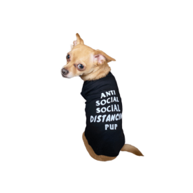 Anti Social Social Distancing Pup (Color: Black, size: X Small)