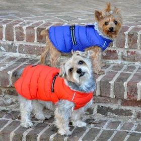 Alpine Extreme Weather Puffer Coat (Option: OrangeX-Small)