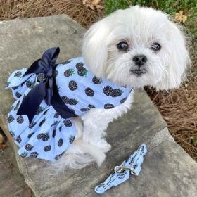 Blackberries Dog Dress with Matching Leash (Option: X-Small)