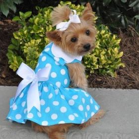 Blue Polka Dot Dog Dress with Matching Leash (Option: X-Small)