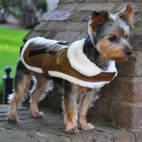 Brown and Black Faux Leather Bomber Dog Coat Harness and Leash (Option: X-Small)