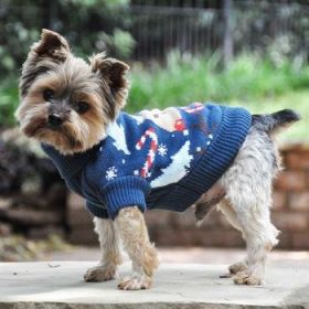 Combed Cotton Ugly Reindeer Holiday Dog Sweater (Option: XX-Small)