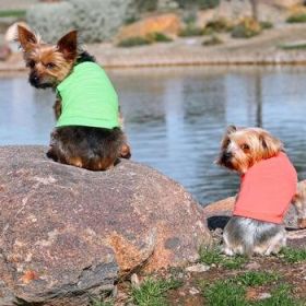 Cotton Dog Tank (Option: CoralX-Small)