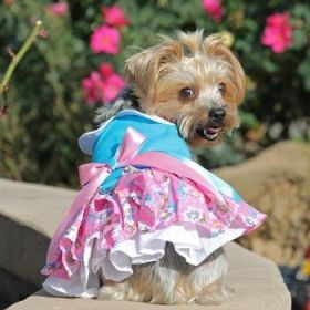 Pink and Blue Plumeria Floral Dog Dress (Option: X-Small)