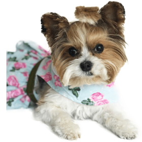 Pink Rose Harness Dress with Matching Leash (Option: X-Small)