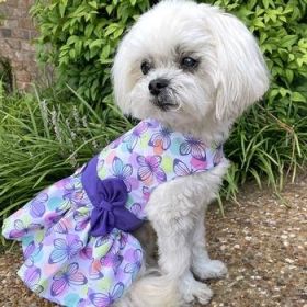 Purple Butterfly Dog Dress with Matching Leash (Option: X-Small)