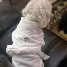 White Gold Crown Cotton Dog Bathrobe by Doggie Design (Option: X-Small)